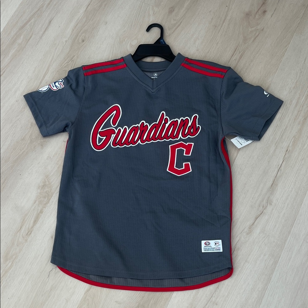 Mens Gray Guardians shirt